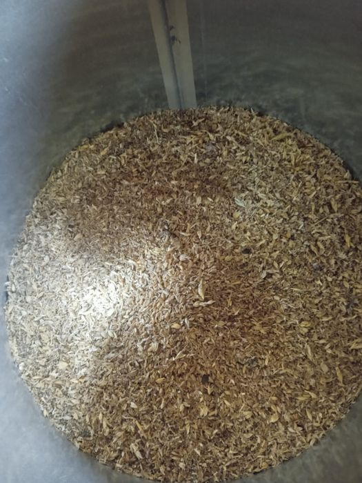 Зерно отходы пшеничные