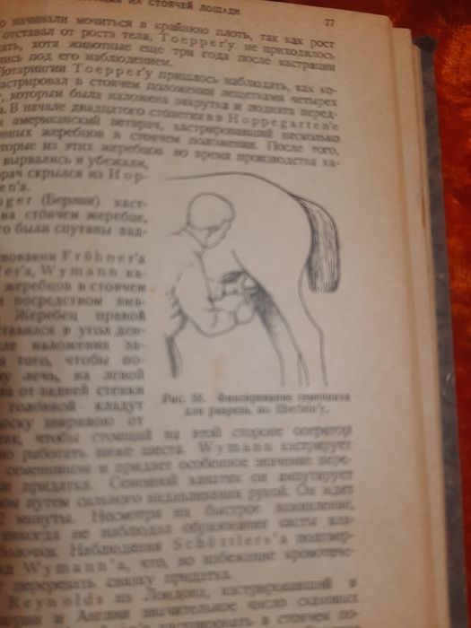 Книги Кастрация самцов домашних животных. 1930г.