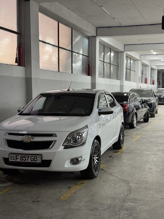 Cobalt sakadiska R17  Obmen Midnight diska balonga