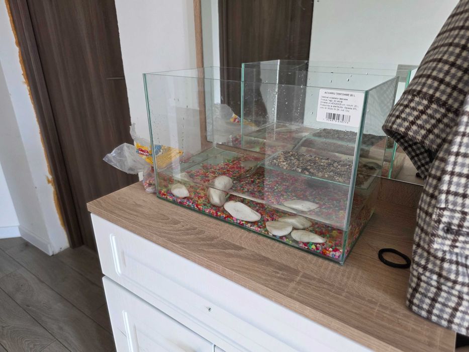 Vănd broasca țestoasă mică de acvariu.