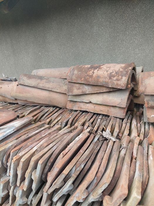 Țiglă solzi de peste din a doua jumătate a anilor 1800.5000 buc.