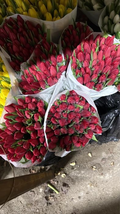 ТЮЛЬПАНЫ ПО 350тг!!!