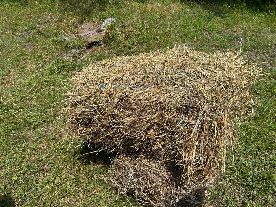 Baloții fân.