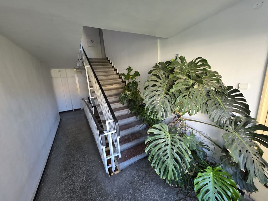 Apartament 3 camere D-na Ghica