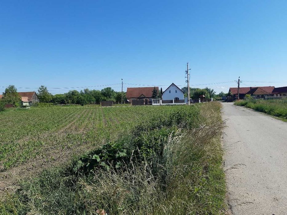 Vand teren intravilan construibil toate utilitatile la drum asfaltat central Lunca Calnicului
