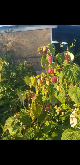 Продается отличная дача