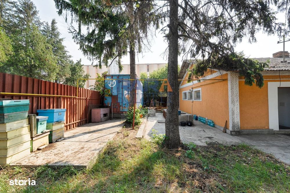 Proprietate Comercială Oportunitate Investiție