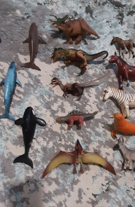 Animale domestice salbatice