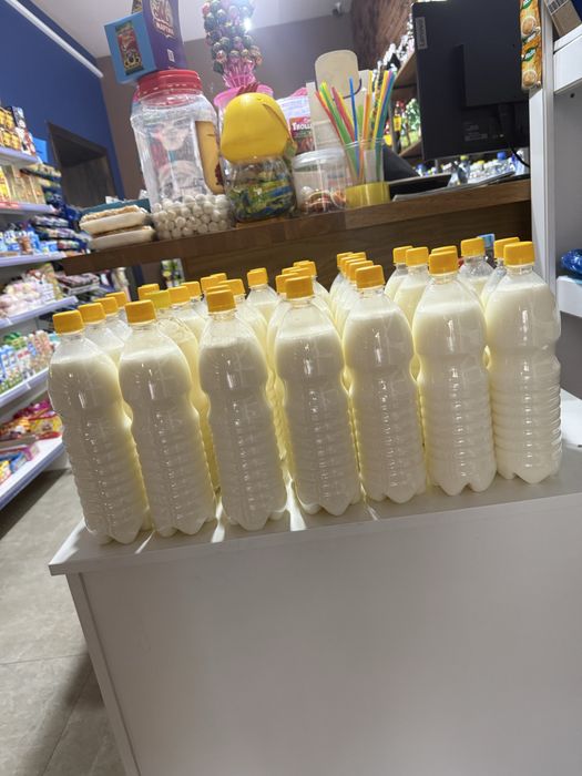 Қымыз домашний продукт