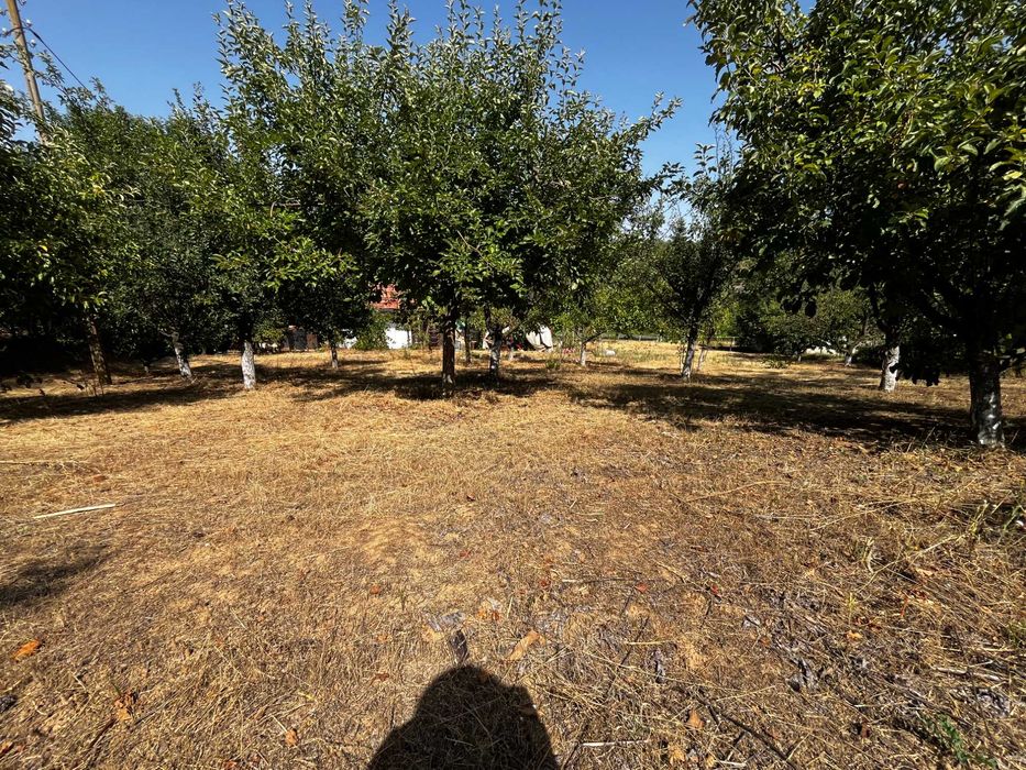 Продава се Къща в с. Ветрен, Област Силистра - 100 кв.м за 700 €/кв.м - Снимка #22