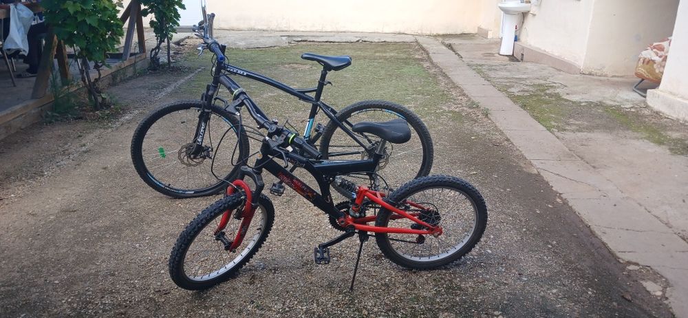 Biciclete vopil si adult
