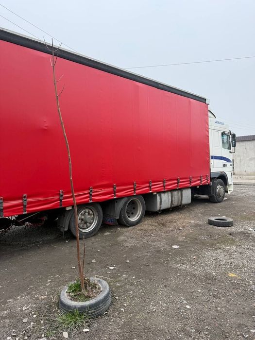 DAF XF95.430 ПАРАВОЗ + SCHWARZMULLER прицеп Сотилади