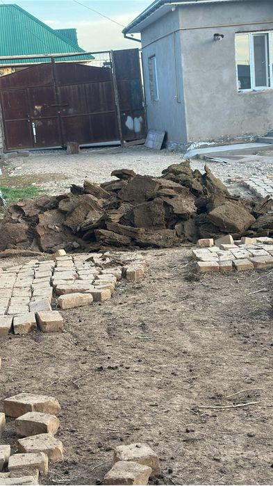 Тегін тезек кайнарбұлақта