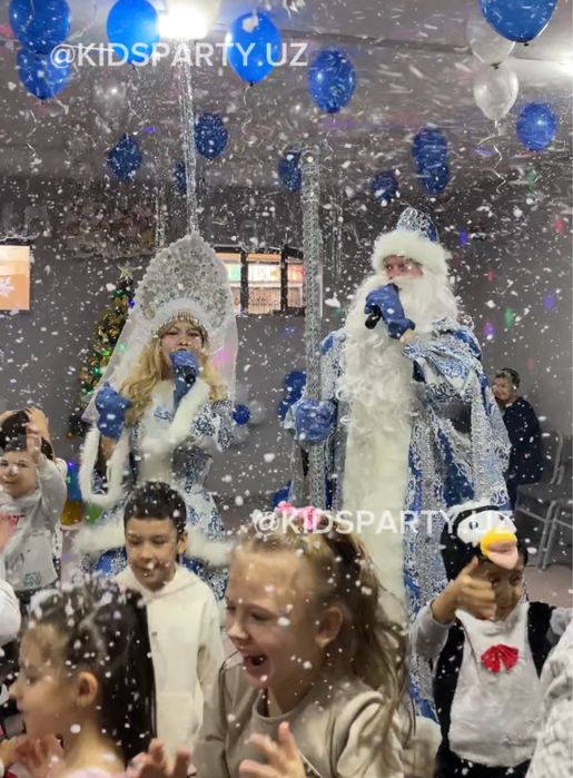 Дед мороз и снегурочка Санта клаус и Миссис Клаус