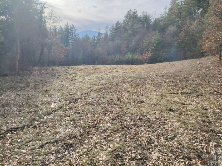 Продава се Парцел в с. Добърчин, Област София-област - 3972 кв.м за 6 €/кв.м - Снимка #1