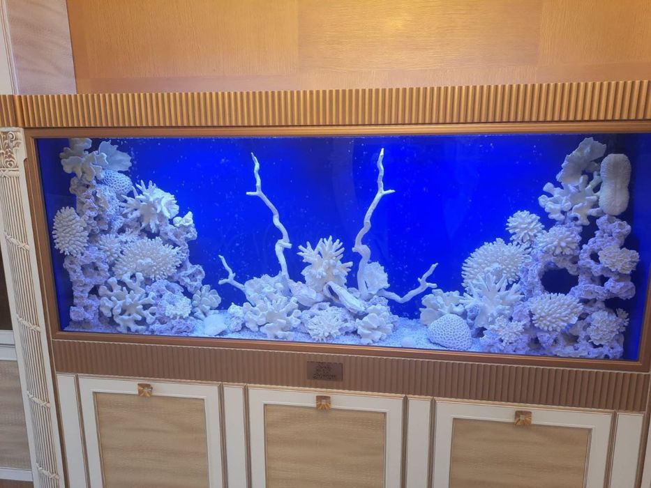 Обслуживание чистка  аквариумов