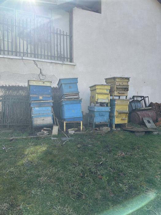 Подарявам кошери