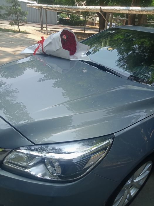 Доставка Розы 101шт за 650.000сум