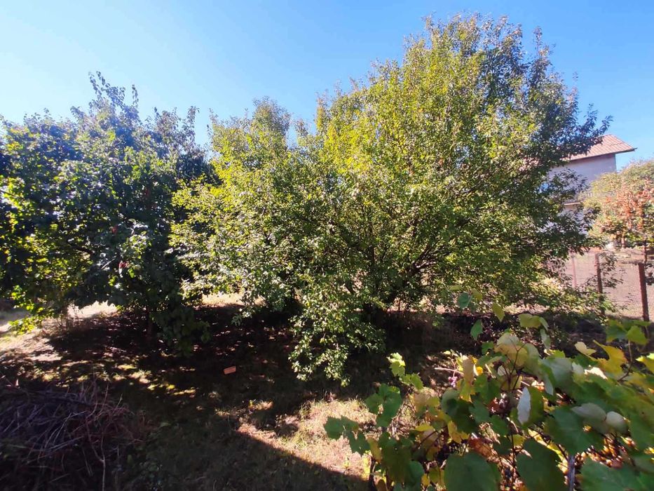 Продава се Къща в Брезник - 70 кв.м за 729 €/кв.м - Снимка #8