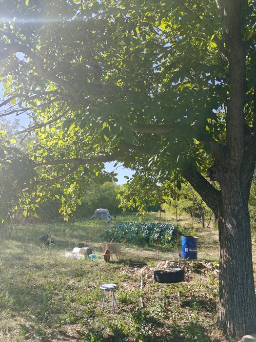 Casă/teren de vânzare