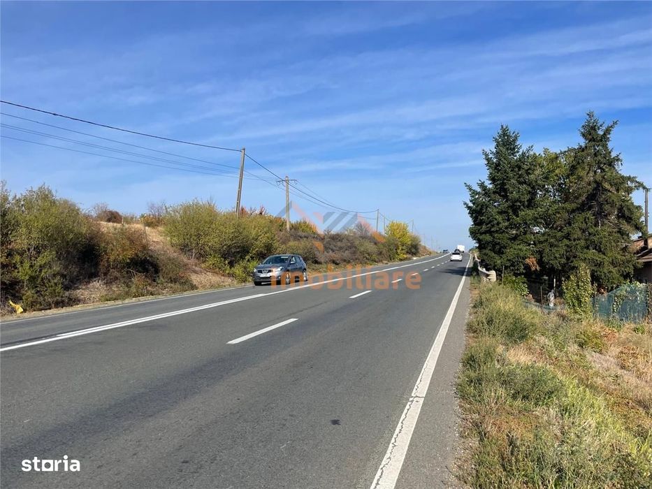 Teren | 5682Mp | La Intrare In Les | Acces Din Dn79 | Bihor