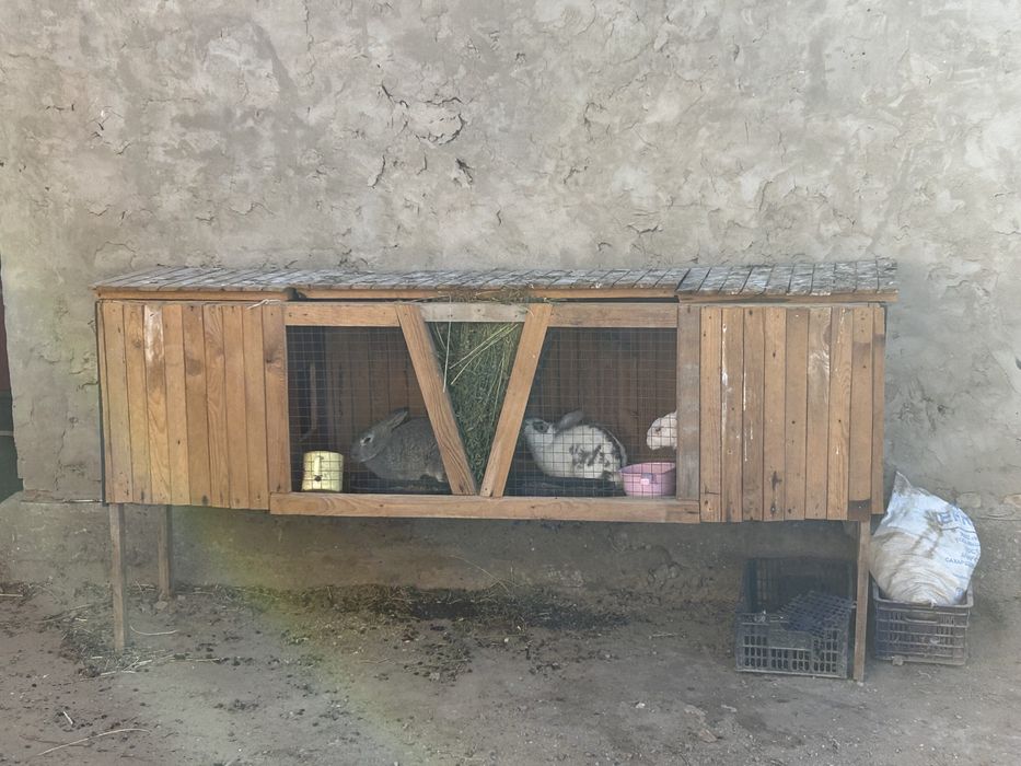 Клетка для кроликов, Крольчатник
