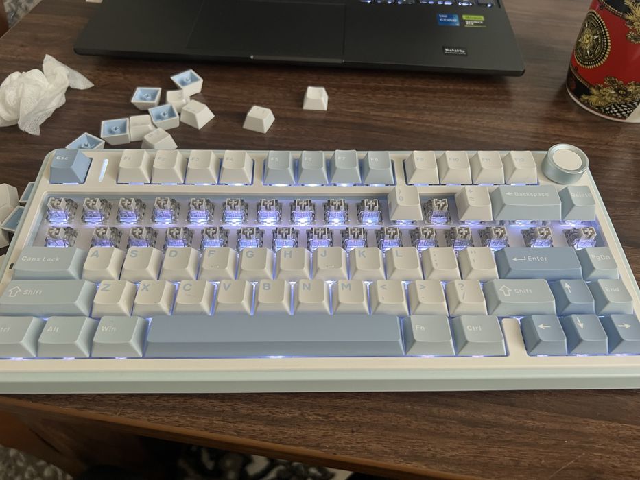 aula f75 ko’k oq fastom