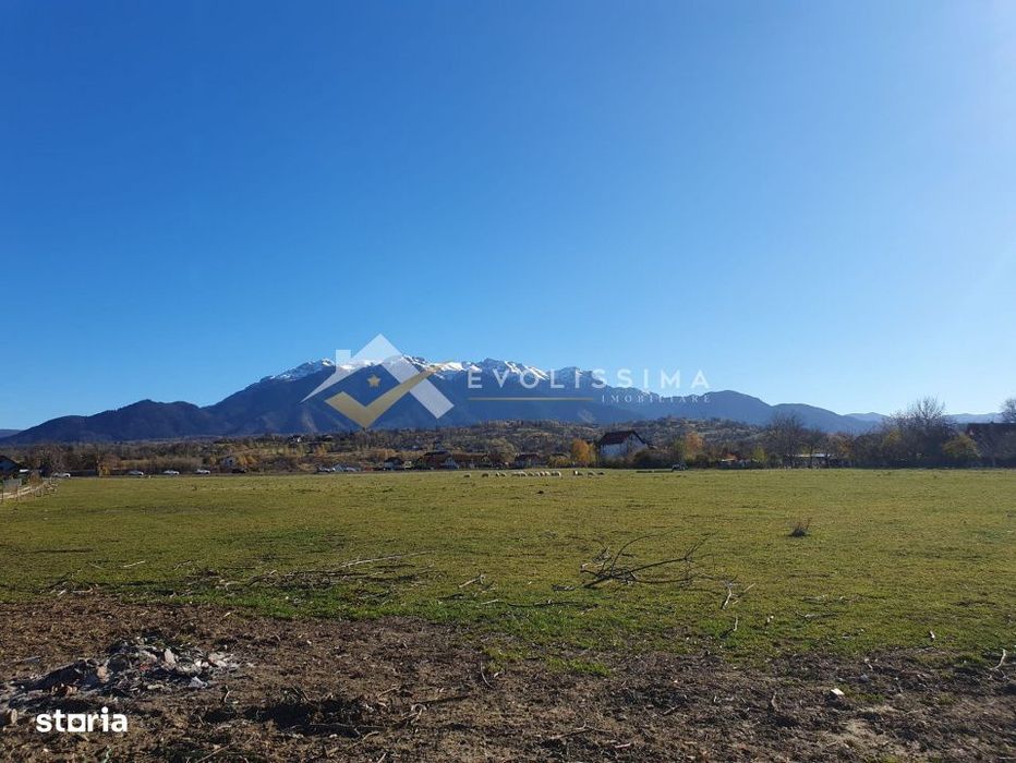 Teren intravilan 10.600 mp Strada Branului