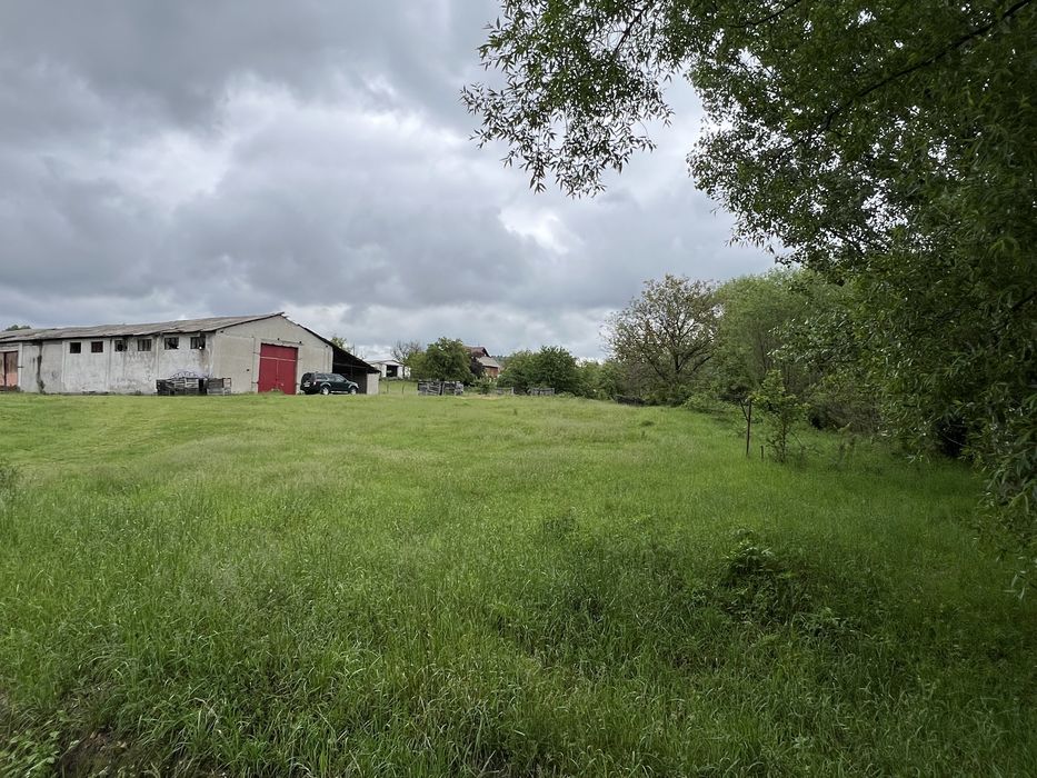 Hala plus teren Cepari-Arges