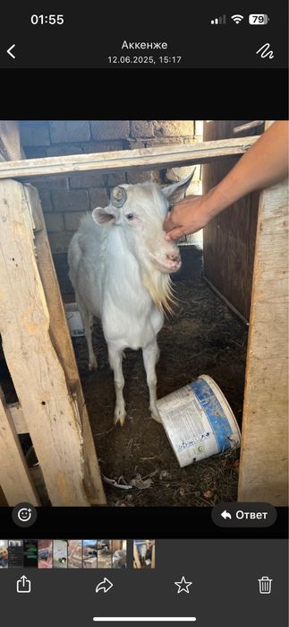 Решотка бар 20 шт ограждения