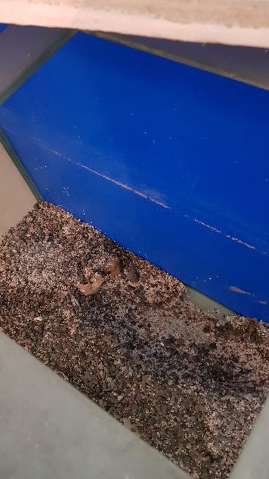 Аквариум. Сатылады срочно