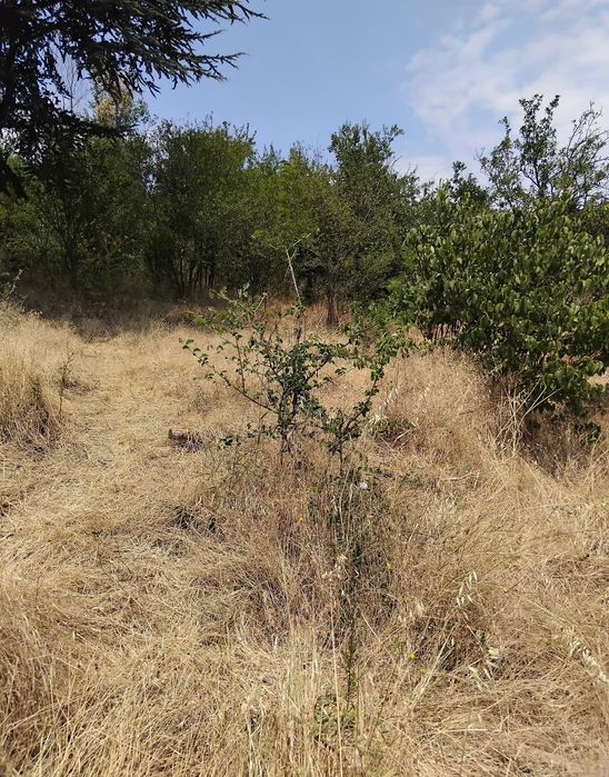 Продава се Парцел в Дупница - 2100 кв.м за 5 €/кв.м - Снимка #1