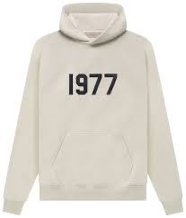 Fear of god essentials hoodie
