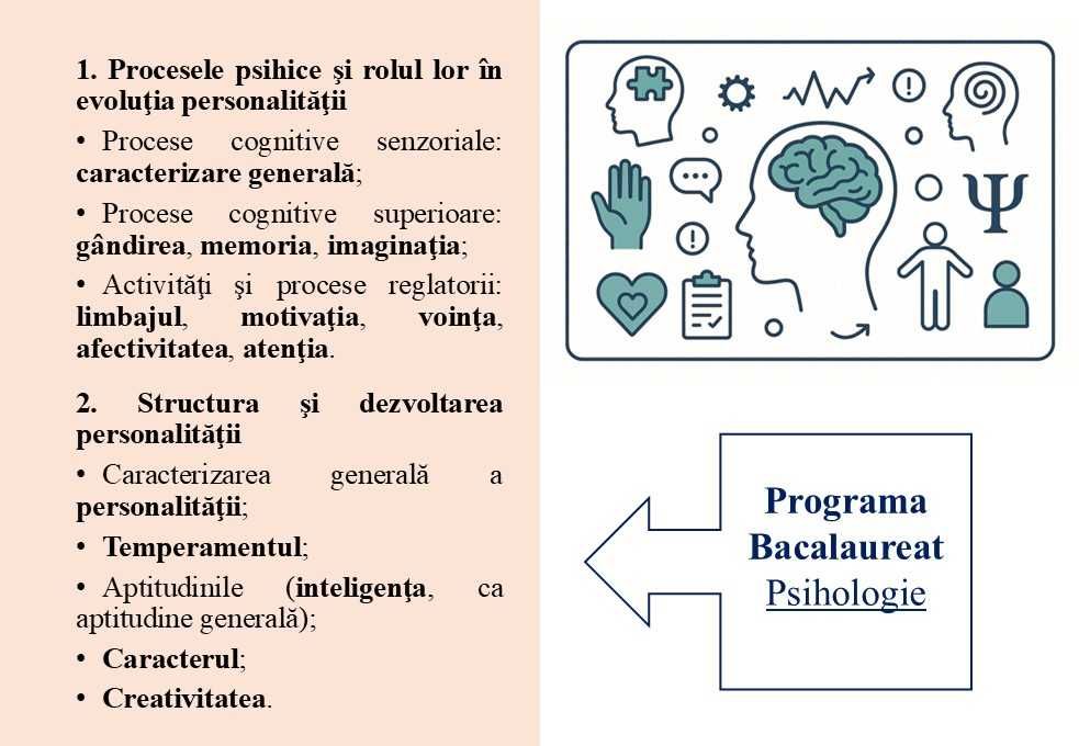 Meditații BAC Istorie & Psihologie Online/Fizic (București–Bragadiru)