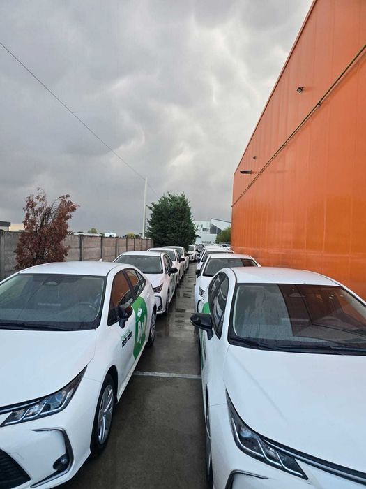 Închirieri Auto Toyota Corolla Hidrid pt Ridesharing