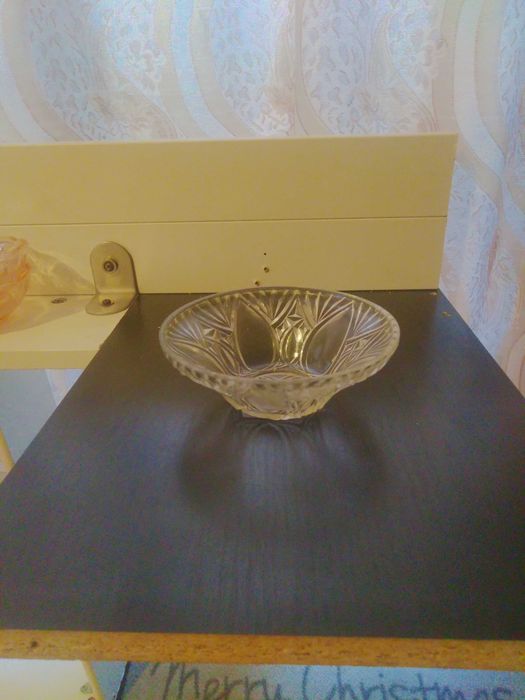 Порцеланови чиний