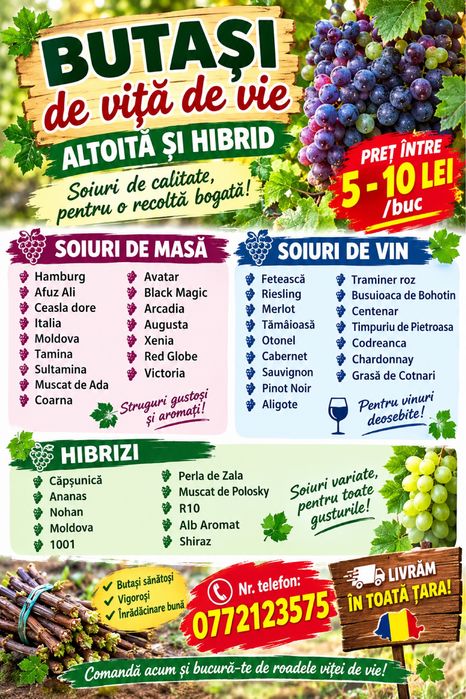Butasi vita de vie altoita si hibrid