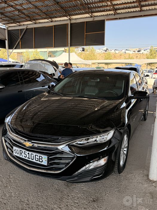 Malibu primer 2021 yil tozza yumshoq bolon tan ruxsat