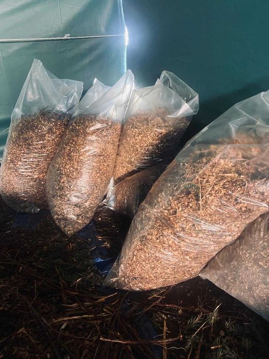 Tocatura lemn/mulci pentru decor gradina, permacultura