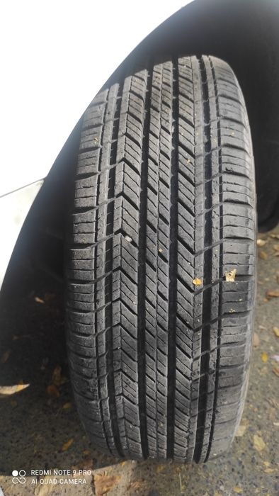 2025 й кобалът насия савдога берилади.