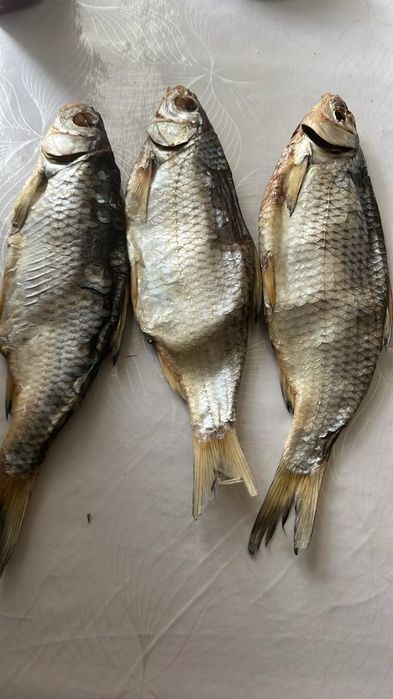 Вяленный и копчёный рыбец, чехонь  в наличии