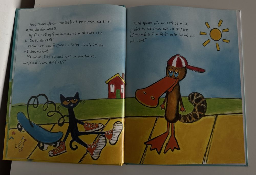 Pete Motanul si vecinul cel nou