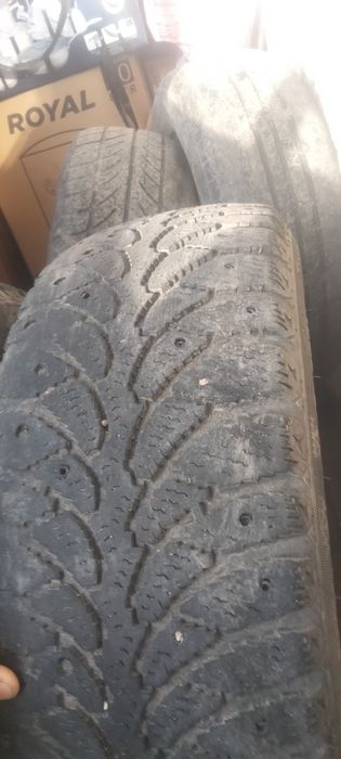 185/65/14 зима прадам