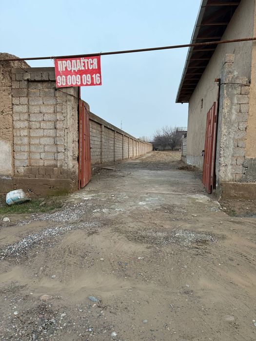 Уй сотилади арзон