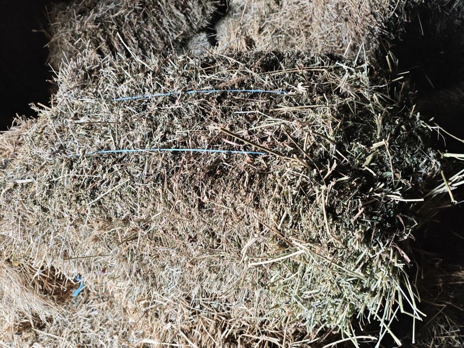 De vanzare baloti fan lucerna paie neplouat 2025