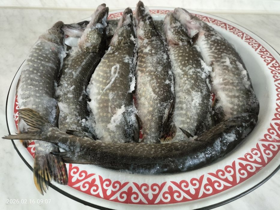 Щука свежезамороженая