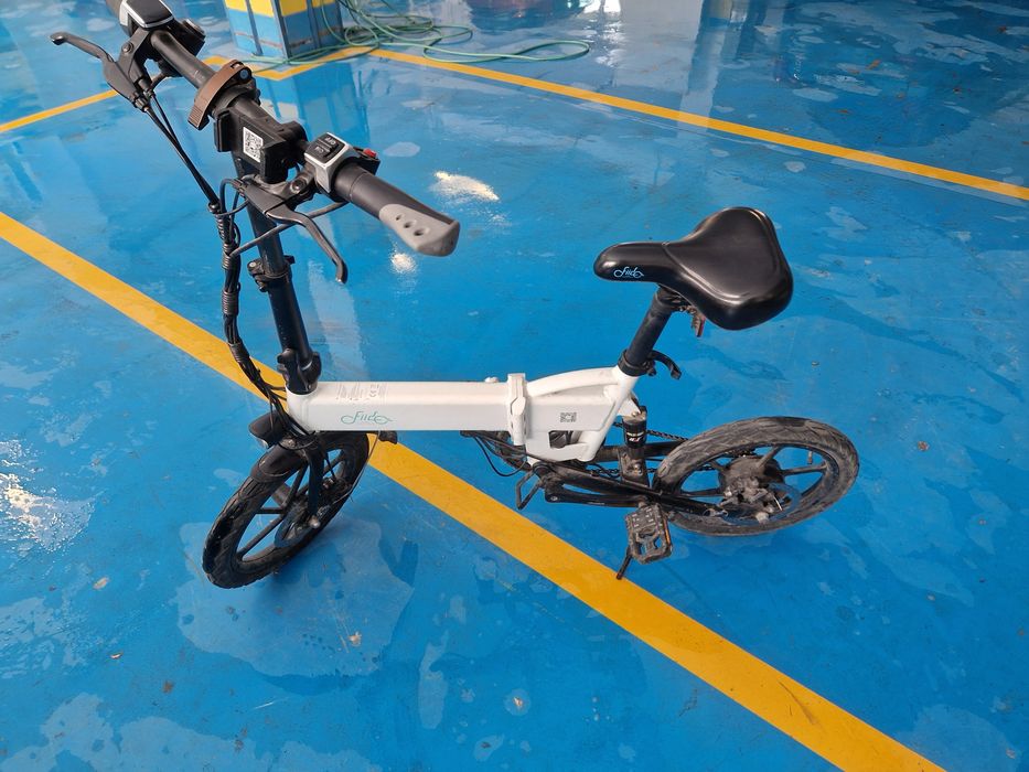 Fiido Electric Bike D2