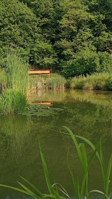 Casa din lemn de locuit