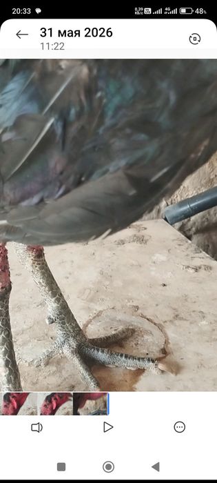 Сатлады срочнаа.