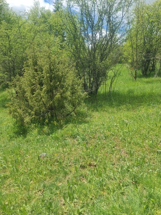 Продавам земеделска земя в с.Турян  1425 кв.м. на 10 км.от Смолян